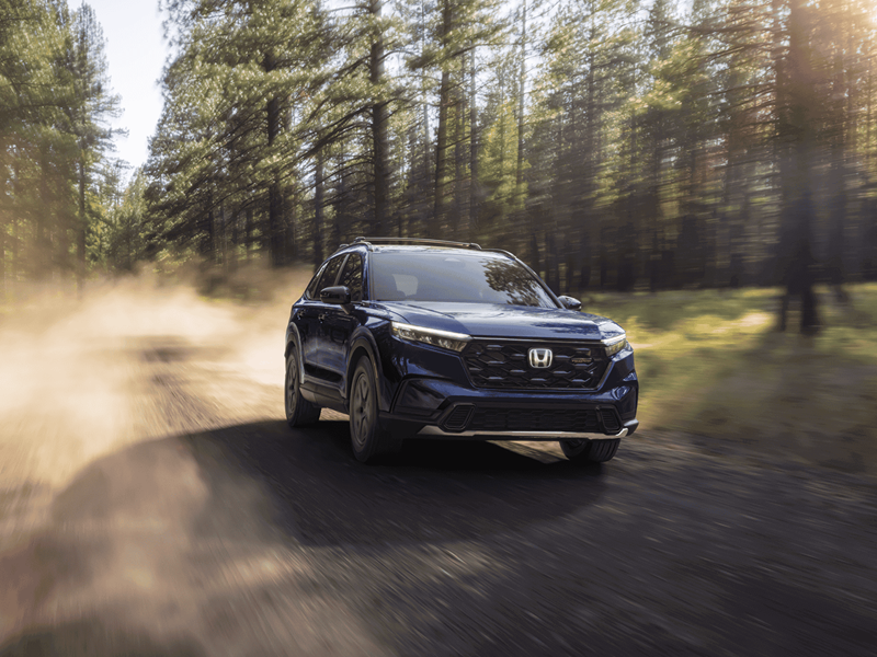 Used Car Dealer near Hilo HI