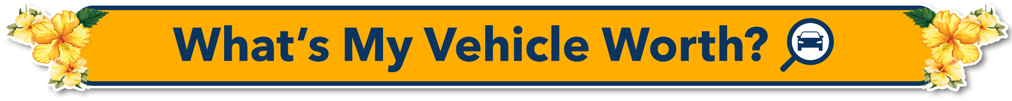 Whats My Vehicle Worth