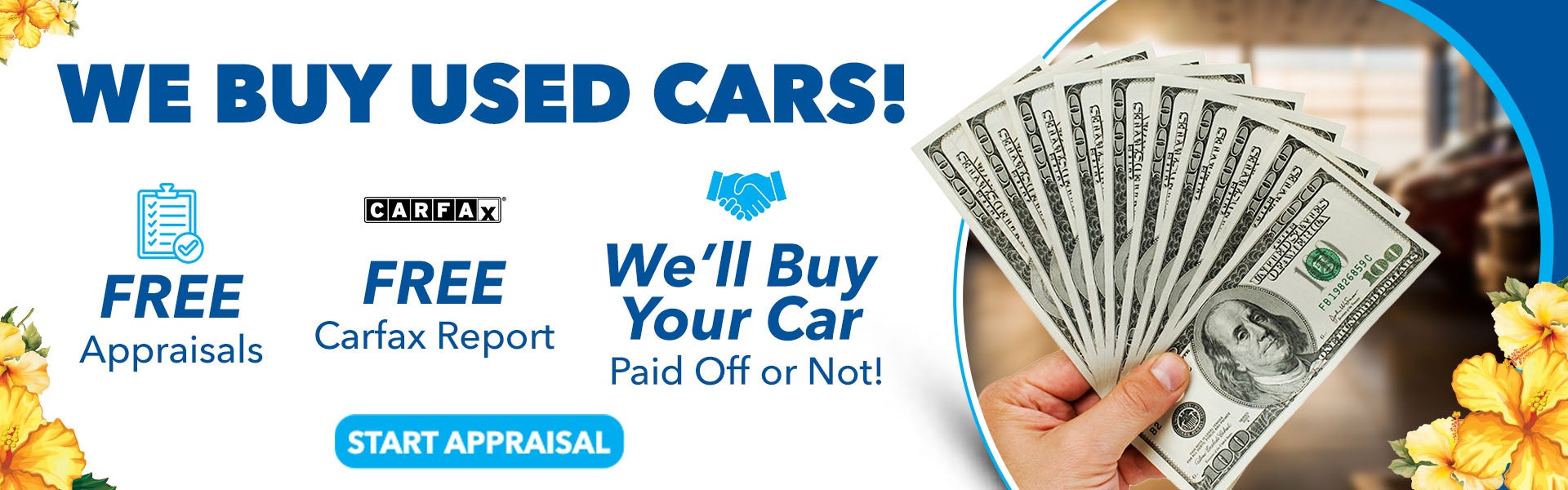 We Buy Used Cars